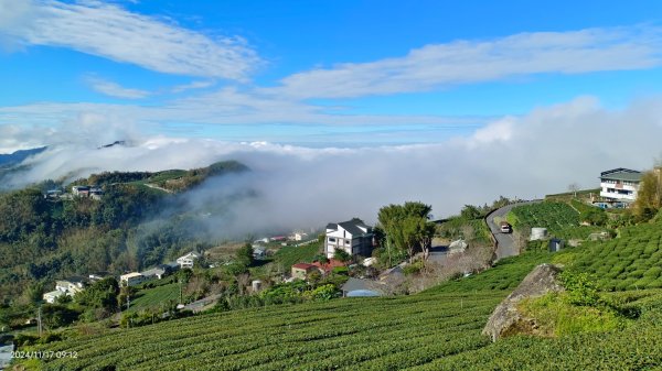 阿里山 #隙頂二延平 #頂石棹 #觀音圈 #雲海 #琉璃光 #雲瀑 #霧虹 11/172649798