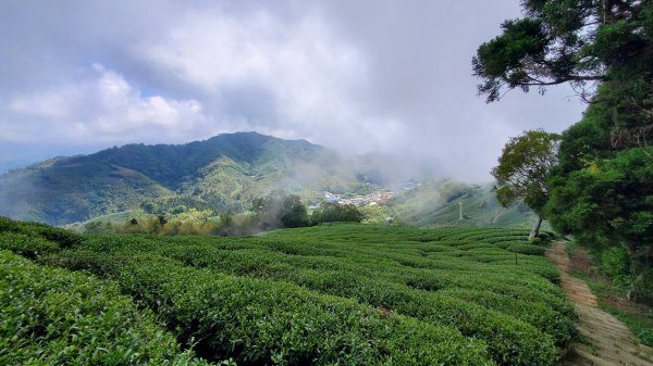 雲嘉大尖山 梨子腳山1727402