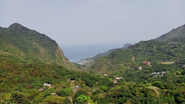 【小百岳集起來】落英繽紛、視野遼闊基隆山1293302