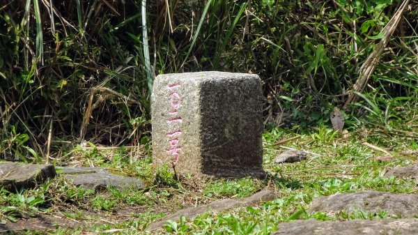 天母古道, 紗帽山1619100