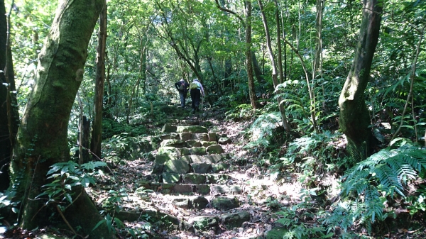 荖寮坑步道-十分古道-五分山2016.649235