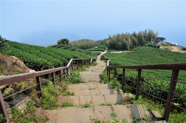 後棟仔山 & 雲嘉大尖山1378280
