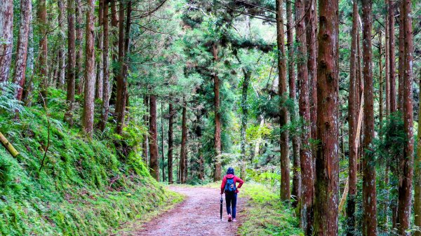 油羅山(一上三下)2959114