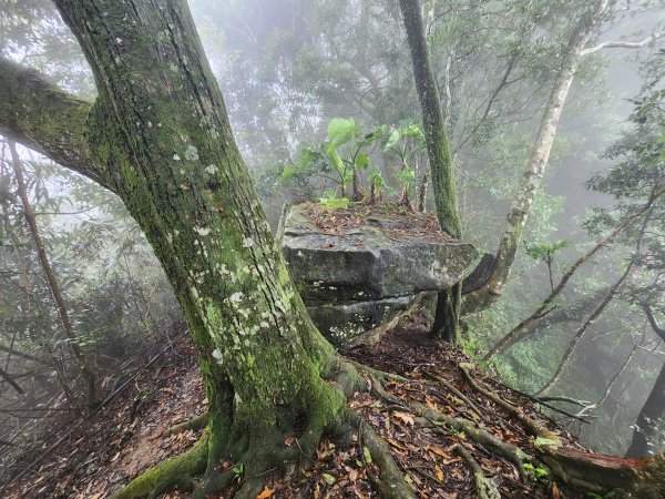 20241208上坪登五指山2683665