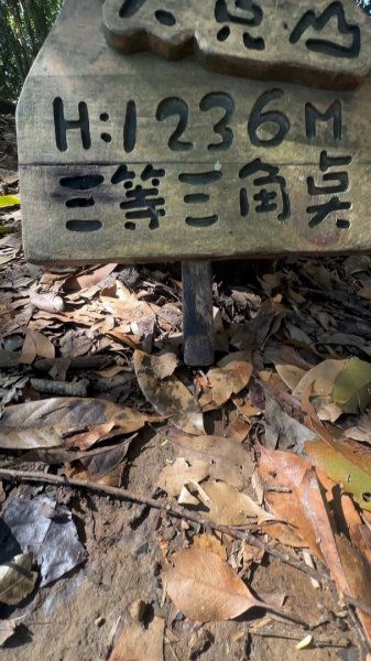 苗栗卓蘭-大克山2626462