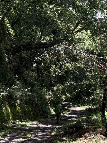 大霸群峰 2025 05/30 三天兩夜2866050