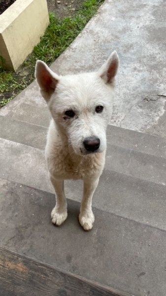 川藏深度之旅33天/A行程2902812