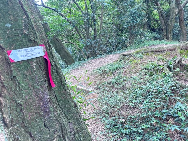 大棟山系第一段、第二段一起走2857261