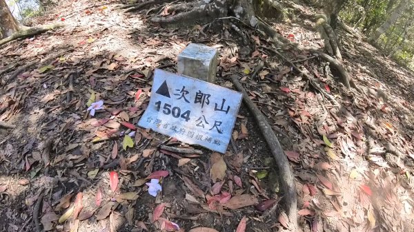 20250421_阿白縱走2774486