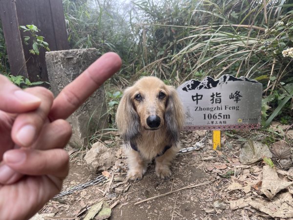 「五指山」真的有五根手指的山峰