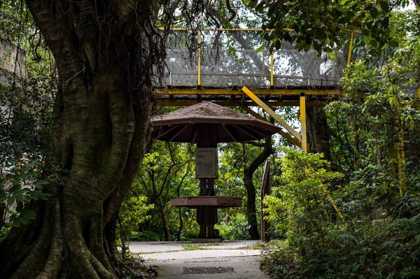 劍潭山小百岳｜老地方觀機平台2886023