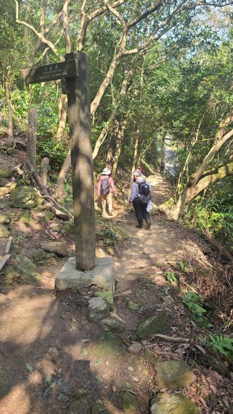 2025-0204 鶯歌_大凍山_三角埔頂山_迴龍2707923