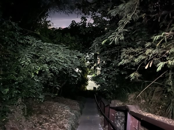 [漫遊縱谷 愛在花東-06/10] 2025_1011 台東鯉魚山步道2913379