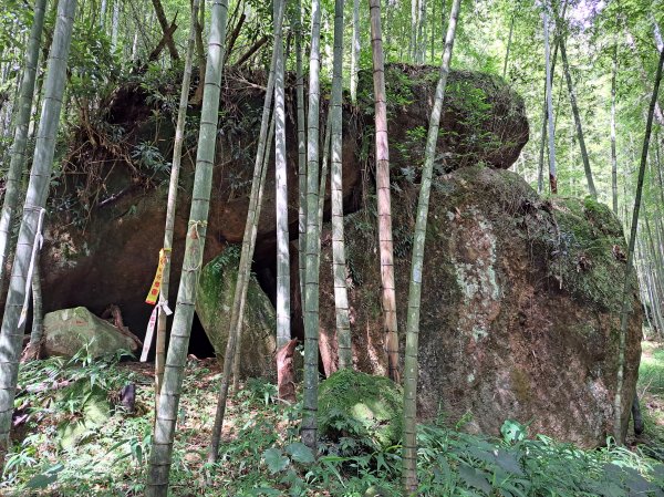 鹿谷小半天七連峰O型走2232566