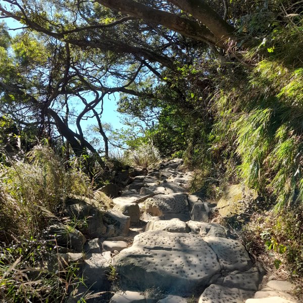 小百岳No.24⛰桃園石門山2403943