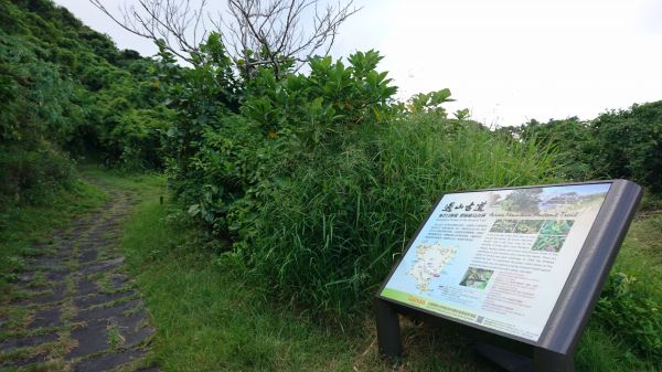 綠島過山古道+過山步道382885