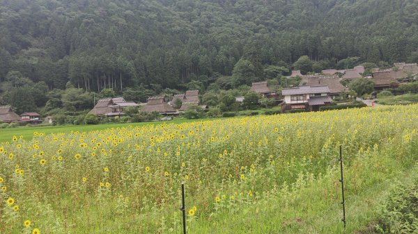 京都府美山合掌村3088158