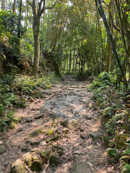 大凍山、九龍山937253