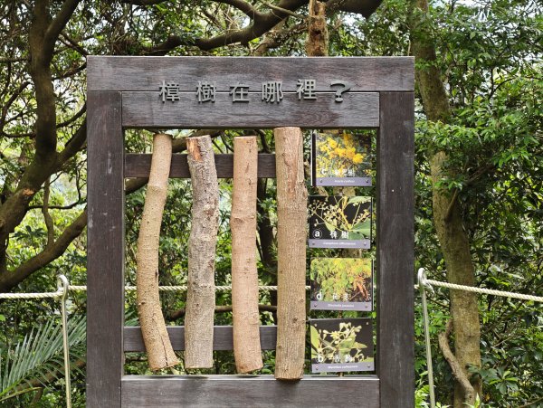 [微笑山線_第三段] 2026_0725 新北桃園登山步道_大湖之森步道3101684