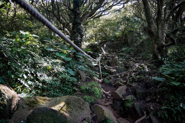 大屯山連峰步道｜陽明山小百岳2856263