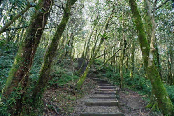 桃園-三峽 志繼山、東眼山、拉卡山、卡外山3005188