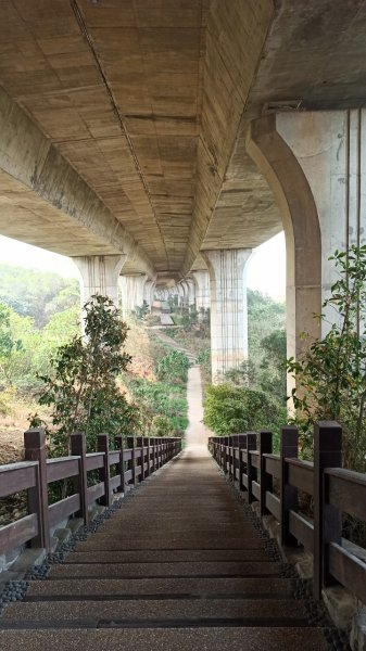 迂迴曲折的小徑∥沙鹿休閒景觀步道