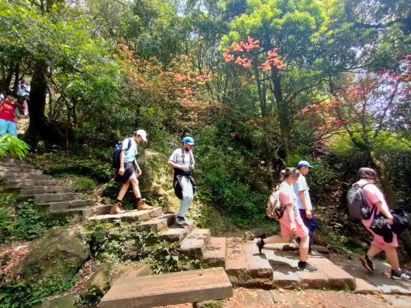 ［走遍陽明山］七星山+夢幻湖+人車分道2182660