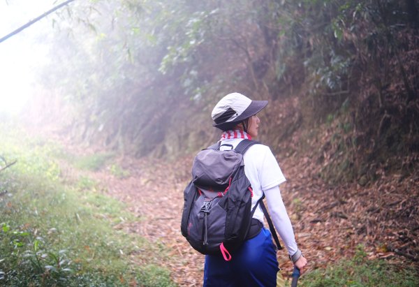 烏山嶺水利古道2799199