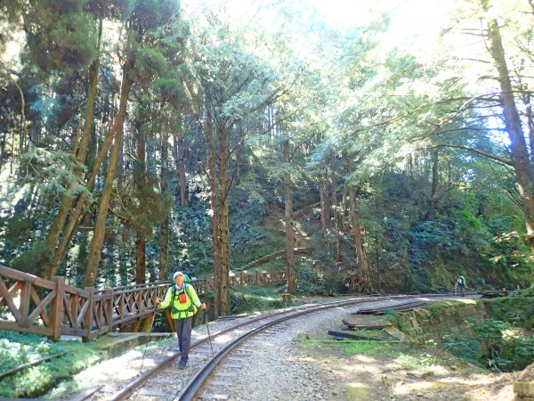 再訪眠月線 2019/11/23-24753036