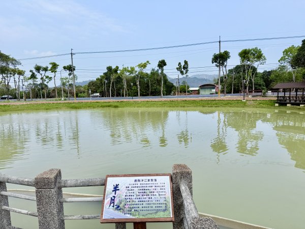 楠西悠遊(鹿陶洋.爐芝潭山)  2026.3.263027465