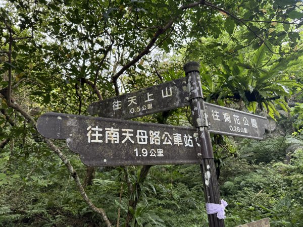 天上山+大棟山 2025.07.202864412