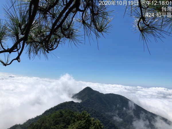 鳶嘴稍來國家步道季秋縱走1144498