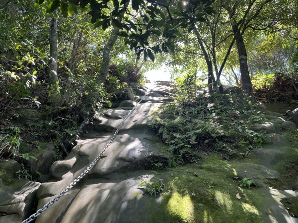 [微笑山線_第九段] 2025_0914 二格山系_天王峰2889555