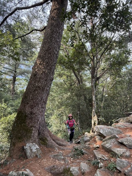 波津加山 202509142893392