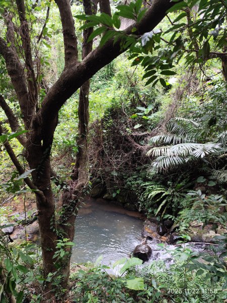 內湖碧山巖、白石湖吊橋2942774