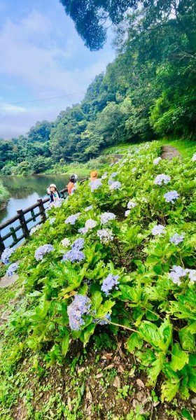 淡蘭古道北中南路全段共15段2567948