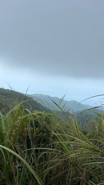 石龜山、叢雲山O走2592633