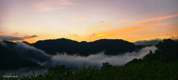 跟著雲海達人山友追雲趣 #草莓月亮 #月圓雲海 #霞光 #日出雲海 #茶園 6/112808775