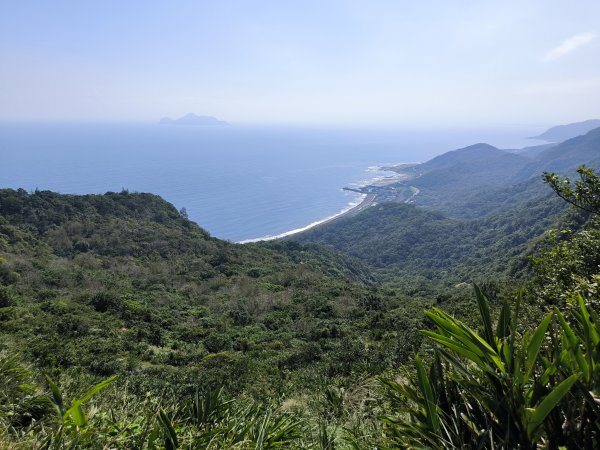 20251108草嶺古道2936134