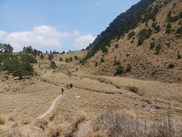 東埔-八通關古道-塔塔加1431578