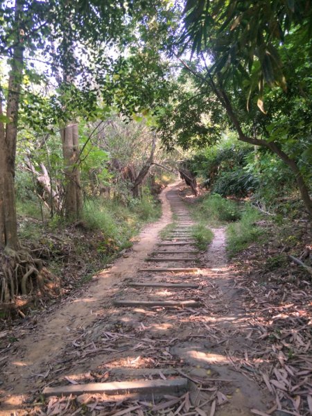 鳳凰山步道1518208