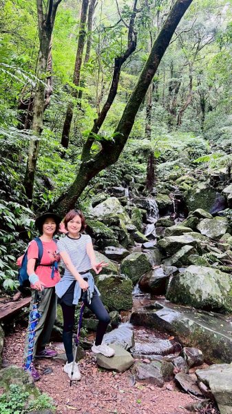 🌈7/5（日）東滿縱走（東眼山~滿月圓）FB：熊熊趴爬走(富裕登山社)🌈3082864