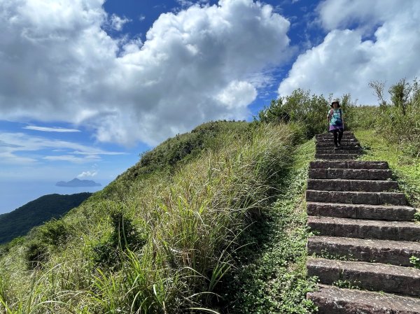 草嶺古道-大溪線-桃源谷-虎字碑-草嶺古道-福隆 202409092593284