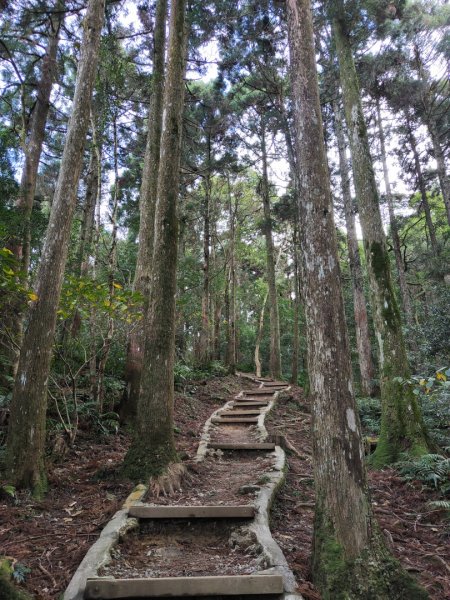 2023.12.27 東眼山2838853