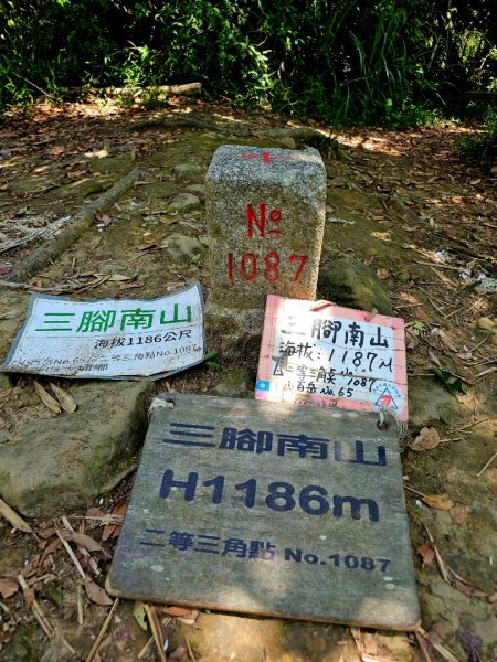三腳南山-小百岳#65-嘉義縣大埔鄉2788701
