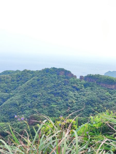 南雅山-門牙岩-鐵達尼岩-海園古道-鼻頭角3040479