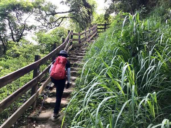 清水岩十八彎走橫山352946