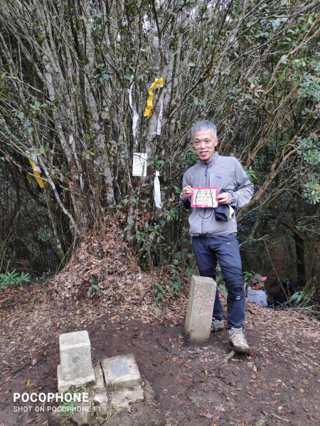 20211120 新竹北得拉曼步道+內鳥嘴山_山毛櫸1531932