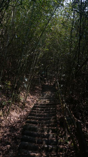 大湖尖山 鳳凰瀑布 紫雲寺1288678