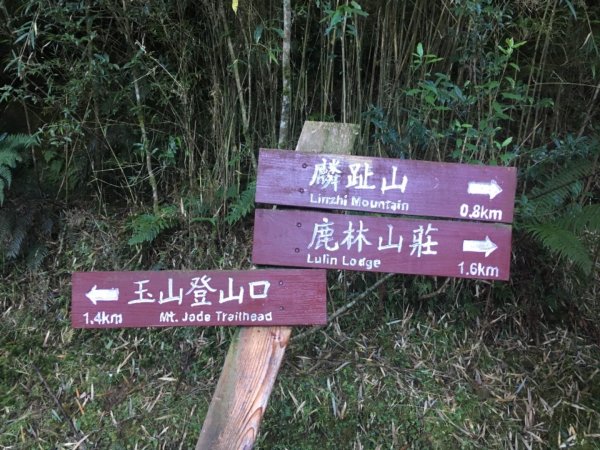 20181021-麟趾山&鹿林山444976